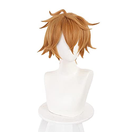 Uearlid Wig Anime Cosplay Genshin Wirkung Tartaglia Cosplay 30cm Kurze Weihnachten Braune Perücke Cosplay Anime Perücken Hitzebeständige synthetische Perücken Halloween von Uearlid