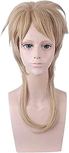 Wig Anime Cosplay 45cm Anime JOJO's Bizarre Adventure Dio o Cosplay Perücken Spielen Leinenhaar Halloween 1:1 Perücken LCNING von Uearlid