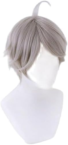 Wig Anime Cosplay Anime Haikyuu!! Sugawara Koushi Cosplay Perücke Grau Kurze Hitzebeständige Synthetische Haar Haikiyu Karasuno Karneval Party Perücken von Uearlid