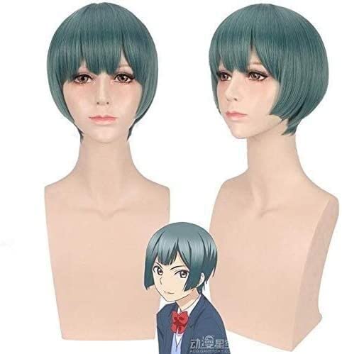 Wig Anime Cosplay Anime Watashi Ga Motete Dousunda Cosplay Perücke Synthetische Haar for Jungen Männer Kiss Him Not Me Halloween Cosplay Kurze Perücken + perücke Kappe von Uearlid