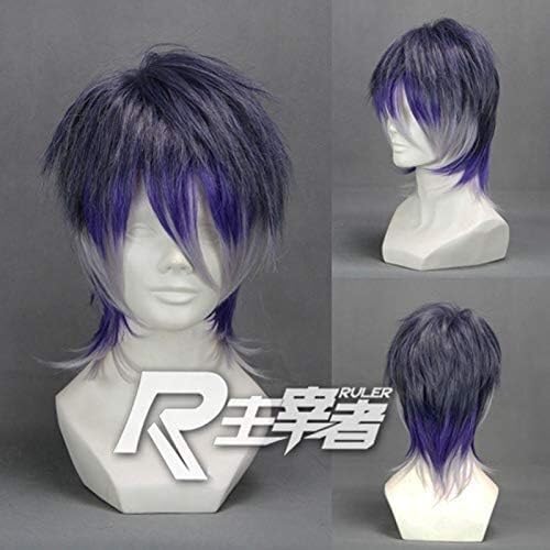 Wig Anime Cosplay Cosplay Perücken Diabolik Lovers Sakamaki Reiji Kurze Farbverlauf Lila Kostüm Perücke + Kappe von Uearlid