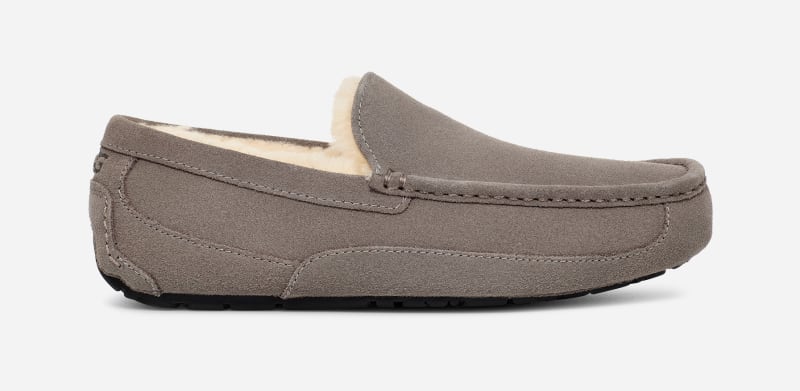 UGG® Ascot Hausschuh für Herren | UGG® EU in Grey, Größe 49.5, Veloursleder von Ugg