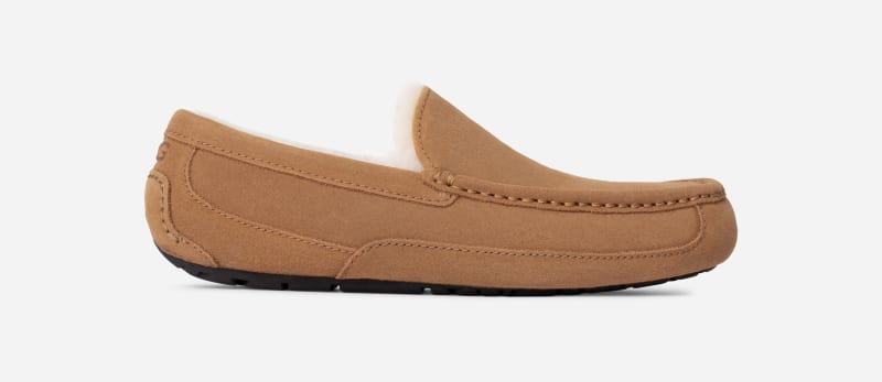 UGG® Ascot Hausschuh für Herren | UGG® EU in Brown, Größe 48.5, Veloursleder von Ugg