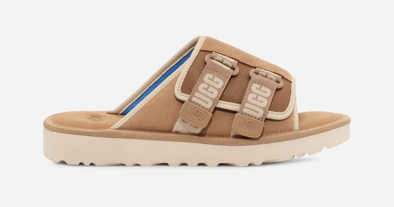 UGG® Goldencoast Strap Slide für Herren | UGG® EU in Beige, Größe 42, Veloursleder von Ugg