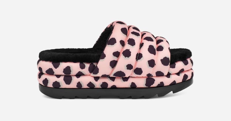 UGG® Maxi Slide Cheetah Print für Damen in Pink Scallop, Größe 38 von Ugg