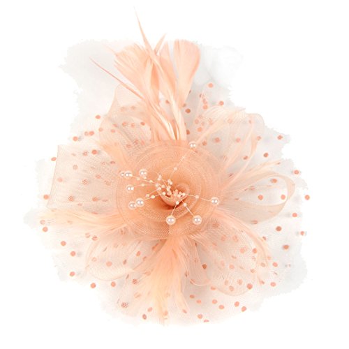 Ulalaza Frauen Fascinators Hut Haarspange Feder Hochzeit Braut Cocktail Hut Derby Kirche Bankett f¨¹r M?dchen von Ulalaza
