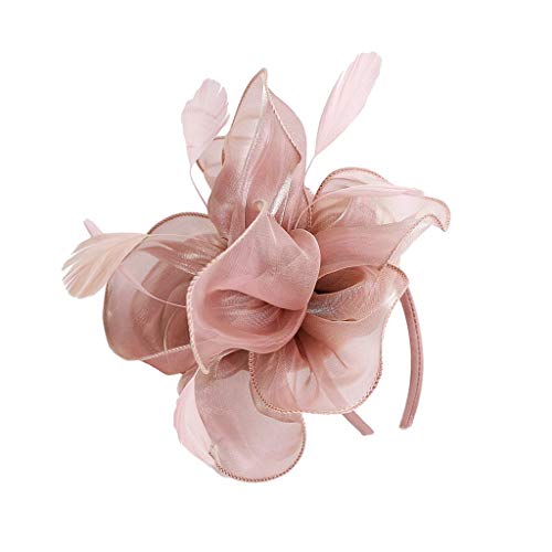 Ulalaza Frauen Fascinators Hut Haarspange Feder Hochzeit Braut Cocktail Hut Derby Kirche Bankett f¨¹r M?dchen von Ulalaza