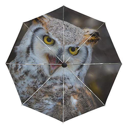 Lenenl Regenschirm mit Eulen-Motiv, winddicht, automatisches Öffnen und Schließen, leicht, kompakter UV-Schutz von Ultrabasic