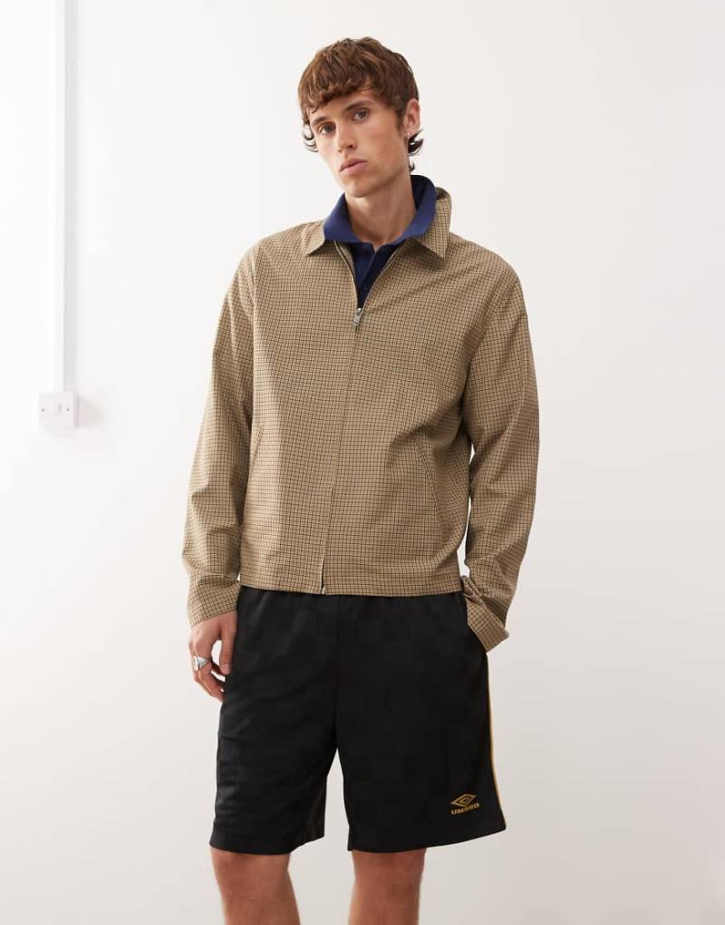 Umbro - Football - Shorts in Schwarz von Umbro