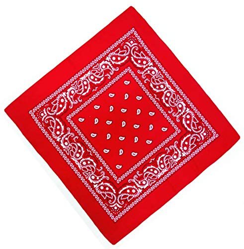 Unbekannt Bandana Kopftuch Halstuch Nickituch Biker Tuch Motorad Tuch verschied. Farben Paisley Muster, Rot, ... von DHOBIA