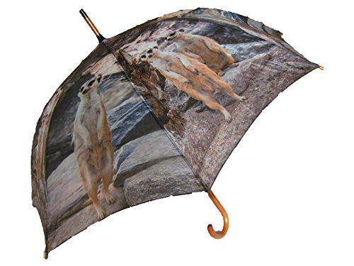 Regenschirm Erdmännchen mit Holzgriff, Automatikschirm, Stockschirm von Unbekannt