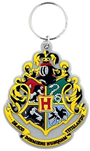 Wizard Harry Potter Hogwarts Häuser Ravenclaw Slytherin Hufflepuff Griffindor Schlüsselanhänger | Geschenk für Kinder | Mädchnen | Fans | Kino | Film | von Out of the blue