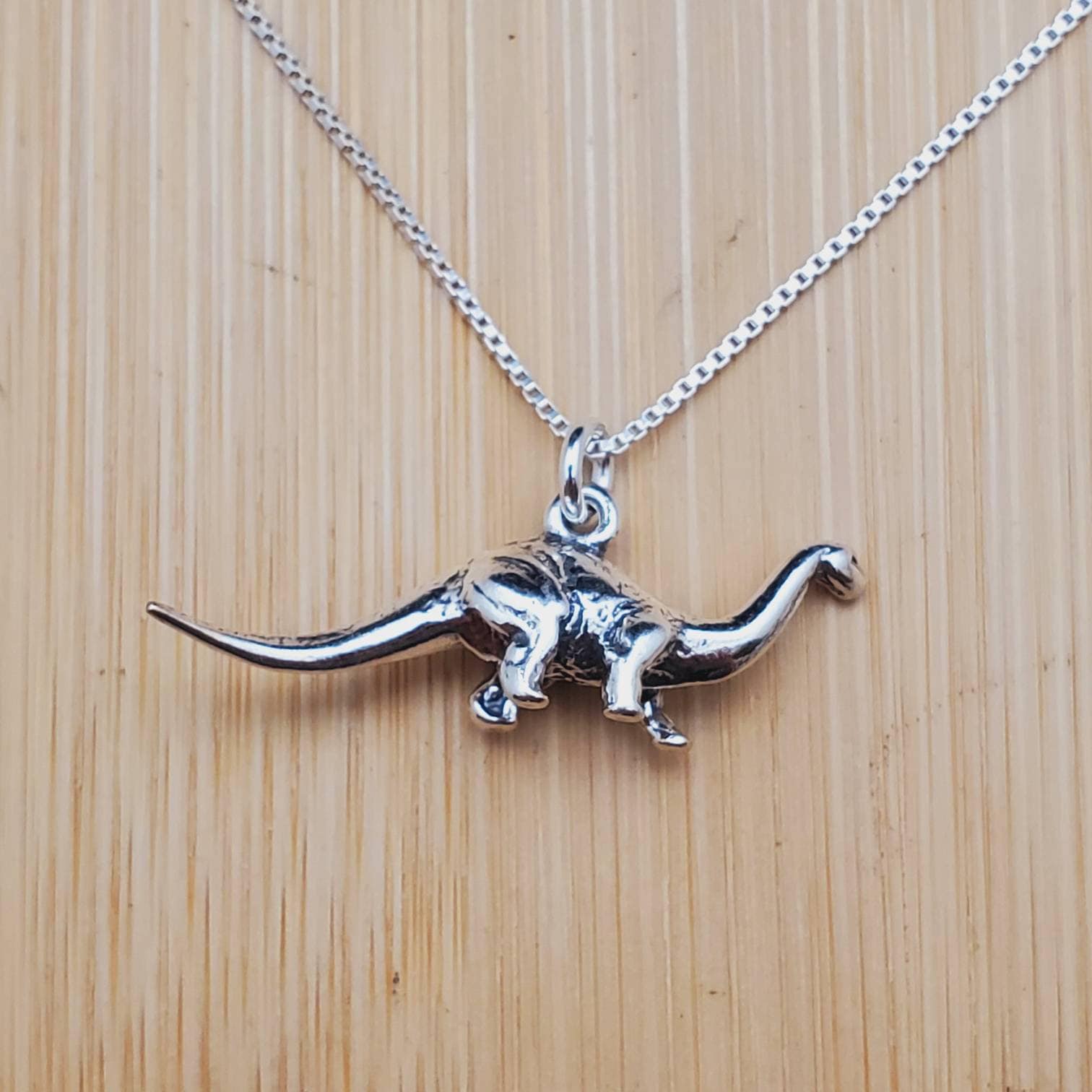sterling Silber Charm Dinosaurier Halskette Anhänger Mit Kette | Brachiosaurus Geschenke Für Sie Hergestellt in Den Usa von UnforgetSilver