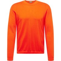 Pullover von United Colors of Benetton