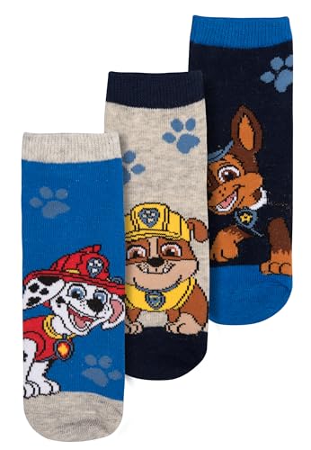 United Labels Paw Patrol Socken für Jungen - Kinder Sneaker Kindersocken Söckchen Blau/Grau (3er Pack) (DE/NL/SE/PL, Numerisch, 27, 30, Regular, Blau/Grau) von United Labels