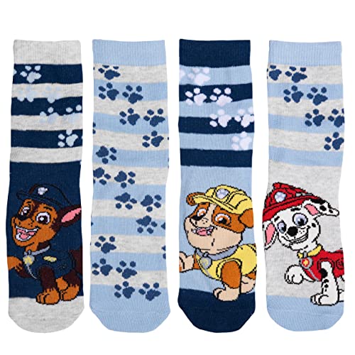 United Labels Paw Patrol Socken für Jungen Kinder Sneaker Kindersocken Söckchen Blau/Grau (4er Pack) (as3, numeric, numeric_23, numeric_26, regular) von United Labels