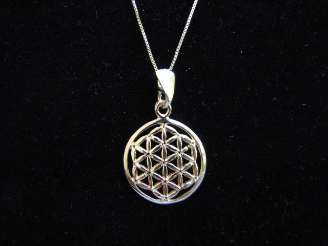 Original Blume Des Lebens Anhänger Halskette, 14K Gold Befüllt Original Blume Des Lebens Anhänger Halskette, 14K Gold Befüllt von UniversalAge