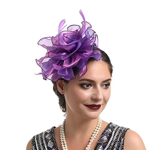 Stirnband Schweißband Damen Hut für Frauen, Hochzeit, Cocktail, Mesh, Federn, Haarspange, Teeparty-Stirnband Lauf Kleidung Herren (Purple, One Size) von UnoSheng