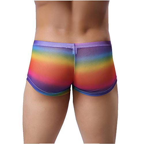 Sannysis Herren Mesh Perspektive Boxershorts Men Transparent Unterhosen Männer Sexy Boxer Erotische Unterwäsche Bequem Shorts von Unterhose Sannysis