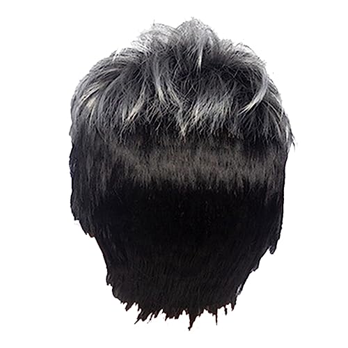Uooduby 2X Männer Kurze Gerade Perücke Ombre Schwarz Synthetische Perücke für Männliche Haare Schäfchen Realistische Natürliche Toupee Perücken von Uooduby