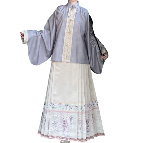 Ming-Dynastie Hanfu-Pferdegesicht-Rock für Frauen mit geformten großen Ärmeln. Altes chinesisches Hanfu-Trachtenset XS-XL (Color B,XL) von Uplateng