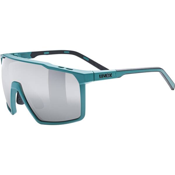 Herren Brille mtn perform s von Uvex