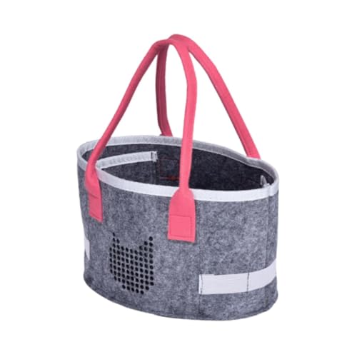 UxicRuya Transportkoffer für Audioleser, Filztasche mit Griff, Rennen, Die Einfach zu Transportieren Sind, Lautsprecher Transportkoffer, Rosa Griff von UxicRuya