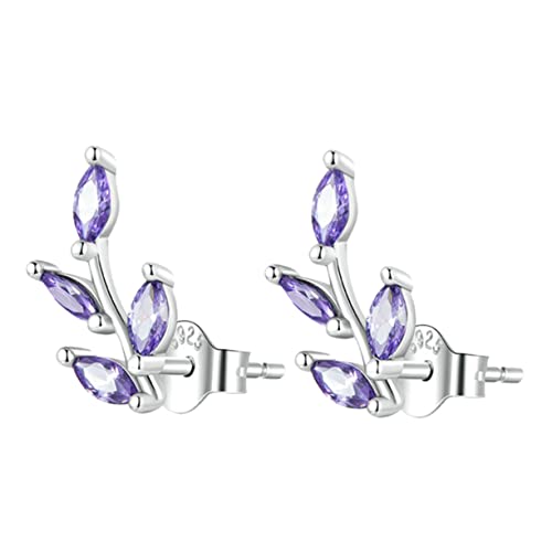 VALICLUD 1Paar Zweifarbiges Ohrringe für Frauen Sterling Zircon Ohrstecker für Besondere Anlässe Modischer Modeschmuck Leicht Angenehm VALICLUD 1Paar Zweifarbiges Ohrringe für Frauen Sterling Zircon Ohrstecker für Besondere Anlässe Modischer Modeschmuck Leicht Angenehm von VALICLUD