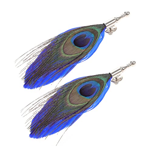 VALICLUD 2St Feder Corsage Männer Hut Brosche für Männer Pfau dekorative Stifte Männer Stift Männer Hochzeit Anstecknadel fein Korsage schmücken Schmuck Mann Hochzeitskleid Legierung von VALICLUD