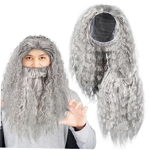 VALICLUD Halloween Zauberer Perücke Und Bart Set Lange Graue Cosplay Perücke Für Männer Kostümzubehör Für Partys Und Fotografie von VALICLUD