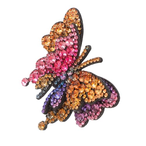 VALICLUD Schuh Charm Für Sneakers Bunte Strass Schmetterling Schuh Clip Für Damen Abnehmbare Schuhschnalle Eleganter Für Hochzeiten Und Partys von VALICLUD