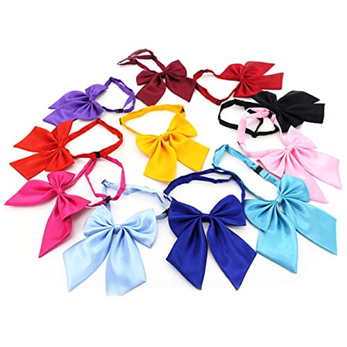 VALICLUD 2 Stück Abschlussfliege Für Mädchen Clip-fliegen Für Schulzubehör Haarschmuck Unisex-anzug Für Den Abschlussball von VALICLUD