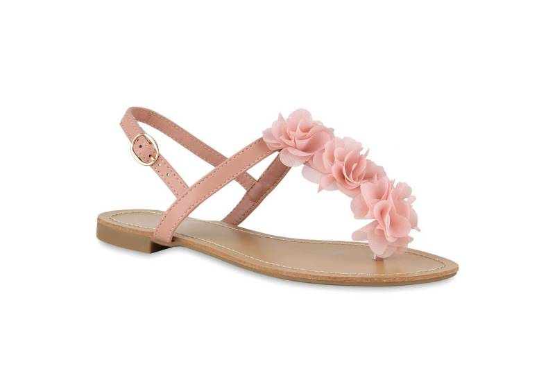 VAN HILL 841288 Zehentrenner Damen Zehentrenner Sandalen Volants Zehenstegsandale Sommer von VAN HILL