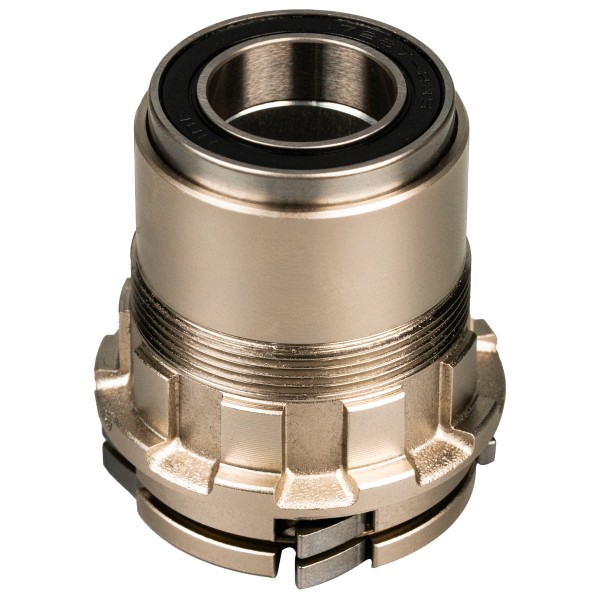 VAN RYSEL - D100 Freehub XDR - Rollentrainer Zubehör grau von VAN RYSEL