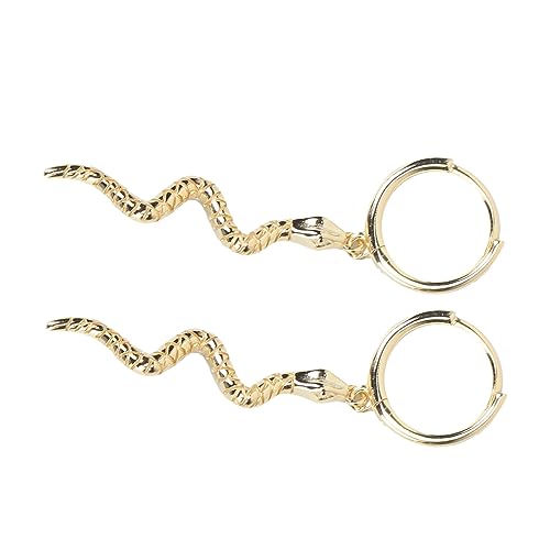 VANZACK Schlangenohrringe Damen Silber Eardrop Ohrhänger Kreatives Design Langlebig Leicht Tragbar Geschenkidee Schmuck VANZACK Schlangenohrringe Damen Silber Eardrop Ohrhänger Kreatives Design Langlebig Leicht Tragbar Geschenkidee Schmuck von VANZACK