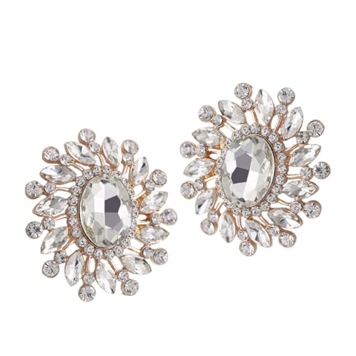 VANZACK Strass Schuhschnallen Hochzeitsschmuck Glänzende Clips Damen High Heels Zubehör Abnehmbare Schuhdekoration Elegant für Festliche Anlässe von VANZACK