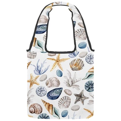 VAPOKF Meeres-Seesternmuscheln VAPOKF Meeres-Seesternmuscheln von VAPOKF