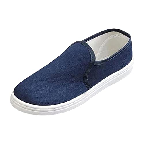 VBEDKDEB Freizeitschuhe Herren Slipper Atmungsaktive EIN Fuß Pedal Faulschuhe für Herren Koreanische Modeschuhe Lässige Segeltuchschuhe OrthopäDische Schuhe (Blue, 42) von VBEDKDEB