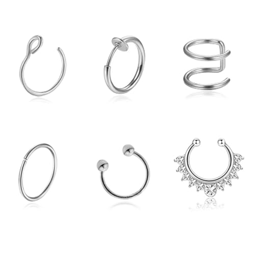 VBKITW 6PCS Edelstahl Nasenpiercing Ring Hoop für Damen Septum Clicker Nasen Ringe Scharnier Segment Lippen Nasenring Helix Knorpel Ohrringe Körper Piercing Schmuck von VBKITW