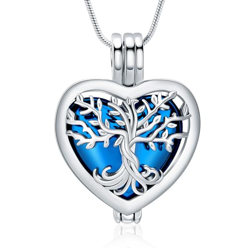 VCCWYQK Herz Urne Halsketten für Asche für Frauen Einäscherung Schmuck Blume Memorial Mini Keepsake Asche Hollow Anhänger (D) von VCCWYQK