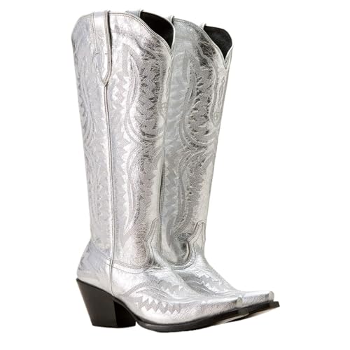 VCSZYAFX Retro Spitz Dicken High Heels Kniehohe Stickerei Cosplay Reitstiefel Western Cowboy Unisex Multi-color(Silver,40) von VCSZYAFX
