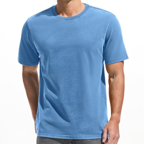 Herren Dick T-Shirt 100% Baumwolle Heavyweight 250g/m² Stone Washed Ultra Weich Regular Fit Bequem Vintage Look Kurzarm Basic (Blue L) von VEIISAR