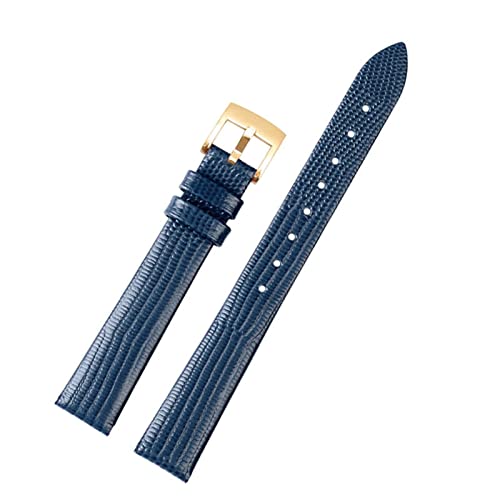 VELORE Frauen echter Lederschuh für Armani AR1681 1683 1882 1926 1726 Dünne Wachbandbänder dünn(Blue-Gold Buckle) von VELORE