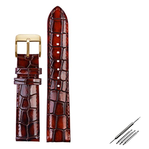VELORE Krokodiltextur Kalbsleder Leder Uhrenriemen18mm 20mm 22mm Uhrband für Männer Frauen sehen Band solide Schnalle(Brown gold,20mm) von VELORE