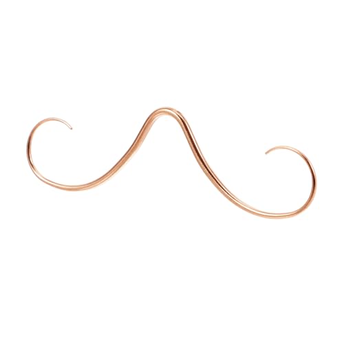 VERDANVERSE Edelstahl Nasenpiercing Mustache Septum Ring Roségold Langlebig Rostfrei Modisch für Damen Herren Vielseitiges Körperpiercing von VERDANVERSE