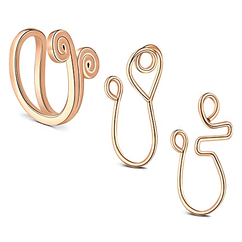 VFUN Fake Nose Rings Chirurgenstahl Damen Non-Pierced Septum Piercing Faux Nasenpiercing Clip-On Schmuck 3 Stück - Rosegold von VFUN