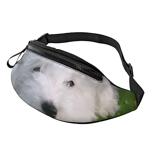 Turtle Write Sport-Hüfttasche mit Reißverschluss und Kopfhörerloch, Laufgürteltasche mit verstellbarem Gürtel für Damen und Herren, Bichon auf dem Gras, Einheitsgröße von VGFJHNDF