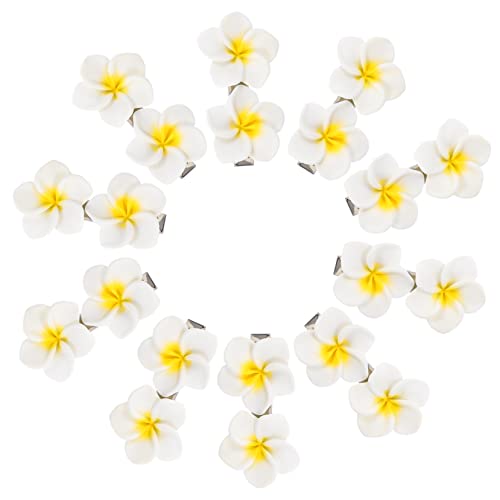 VICASKY 10 Stück Haarnadeln Haarspangen Brautjungfern Haarschmuck Nadeln Für Haare Dekorative Mädchen Haare Flache Form Hochzeit Trendige Haarnadel Farbe Künstliche Haarspangen von VICASKY