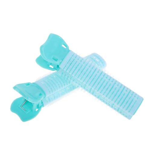 VICASKY 10stücke Haarwurzelclips Für Volumen Lockenwickler Hitze Für Dünnes Haar Volumenclips Für Frauen Und Mädchen Mit Styling-rollern Für Federnde Locken von VICASKY