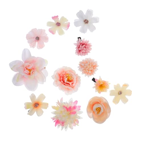 VICASKY 12stücke Damen Blumenhaarspangen Aus Böhmischer Spitze Blumenhaarnadeln Für Hochzeit Party Und Festival Dekorativer Haarschmuck Für Dünnes Haar VICASKY 12stücke Damen Blumenhaarspangen Aus Böhmischer Spitze Blumenhaarnadeln Für Hochzeit Party Und Festival Dekorativer Haarschmuck Für Dünnes Haar von VICASKY